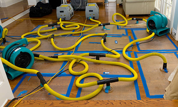Professional Basement Flood Cleanup technician working in Naples, FL